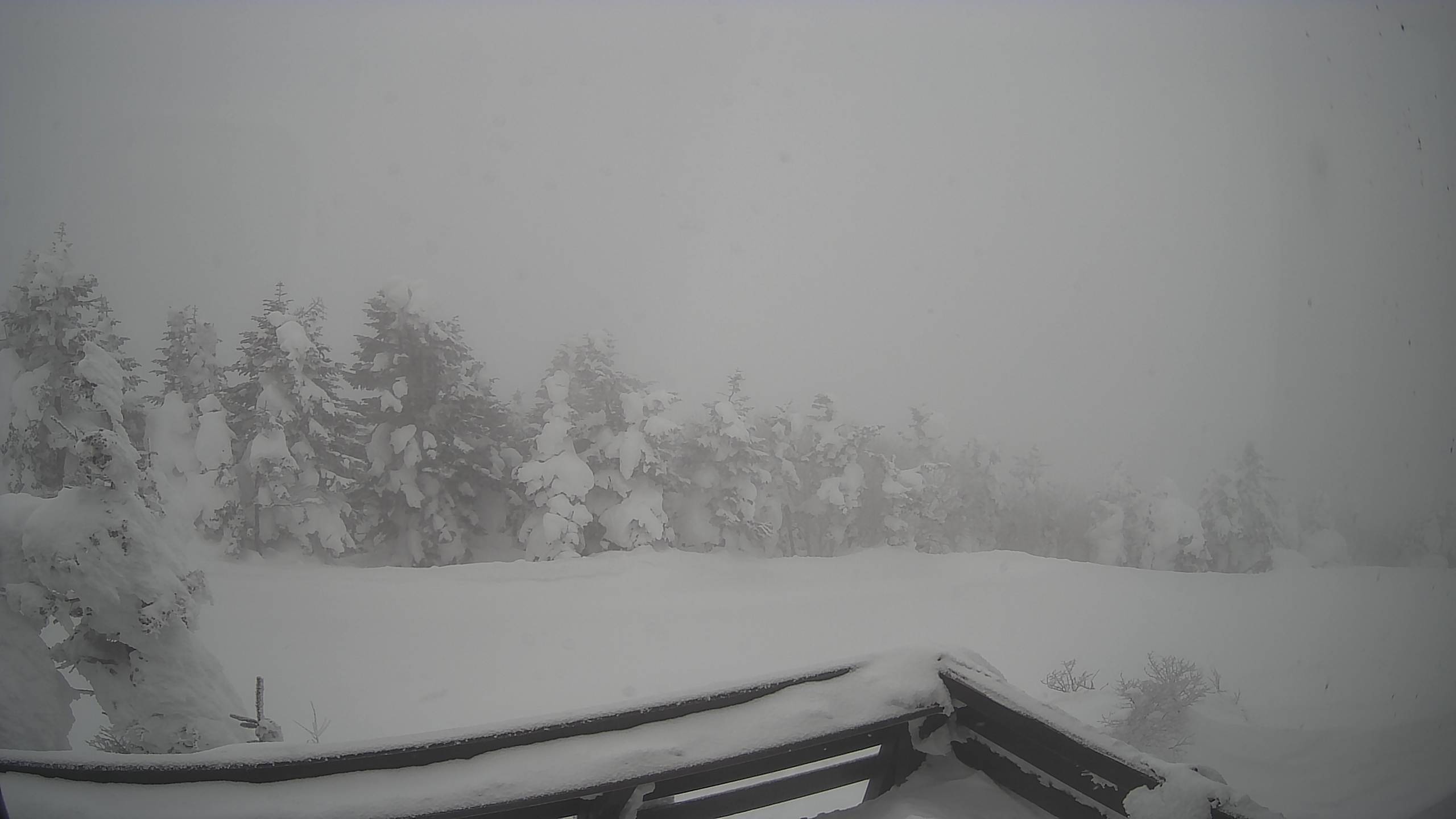 Shiga Kogen Webcam