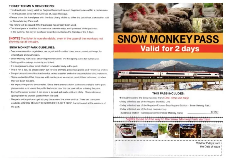 Japan Snow Monkey Pass 2 day