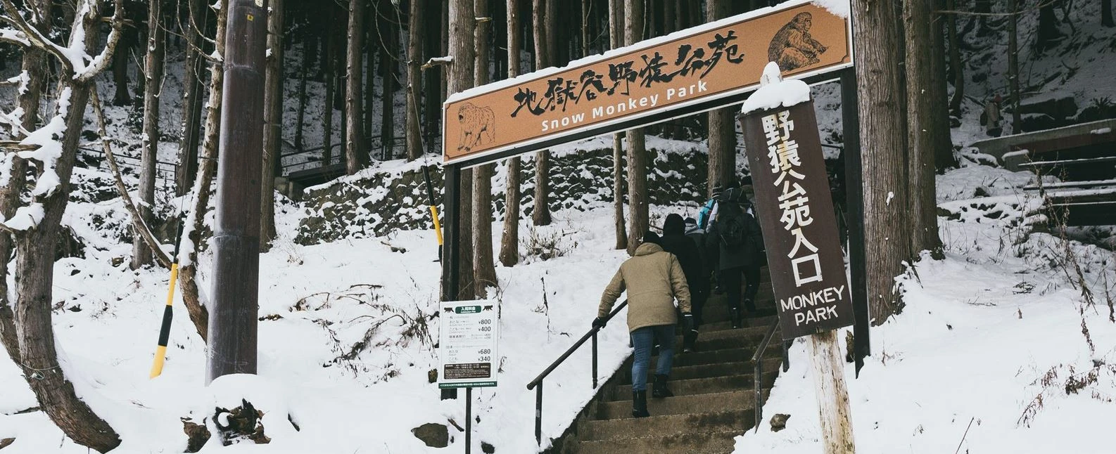 Tours to Japan Snow Monkeys, Private snow monkeys tours, Day tours to Snow Monkeys, Hakuba to Snow Monkeys, Myoko to Snow Monkeys, Nozawa Onsen to Snow Monkeys