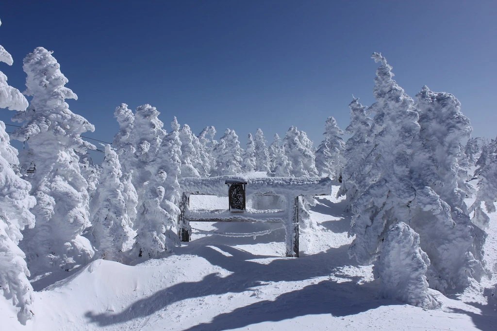 Shiga Kogen webcams